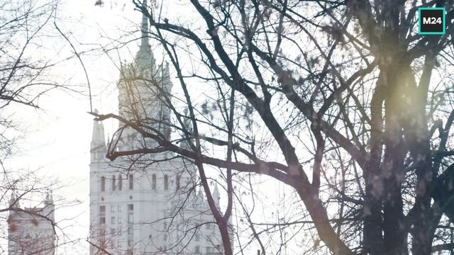Ноябрьские пейзажи в городе | О Москве с любовью