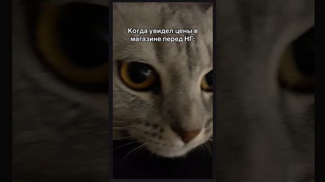 21-11-2024