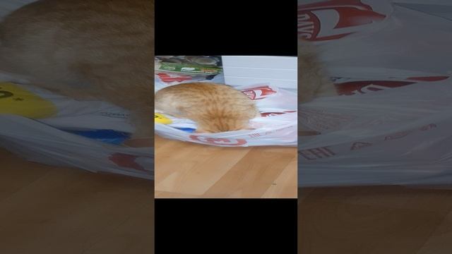Създили за продуктами, много потратили🤦♀️