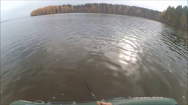 Белоярка 08.10.2016 и снова ловля на поппер