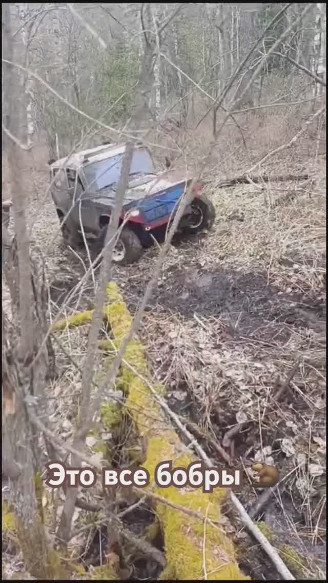 БобрКурва  #оффроад #offroad #2024 #бездорожье  #нива #т90