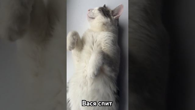 Вот это я понимаю отдыхает