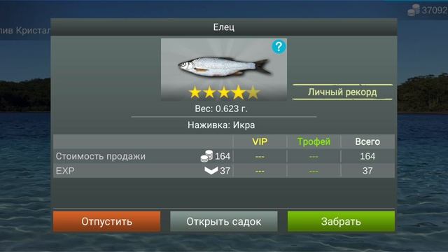 рыбалка 🎣 MyFishing где 🔍 наловить 🪝 Ельца