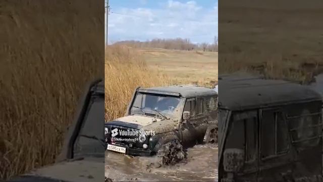 вводные процедуры