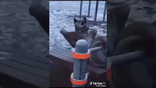 1000004304.mp4