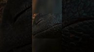Как приручить дракона | Фильм 2025 #PlatinumFilms #КакприручитьДракона #Чтопосмотреть