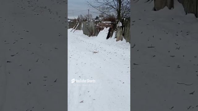 Трактор почистил дорогу