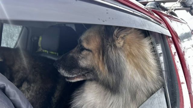 КЧР короткое видео