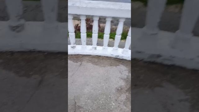 1000067705.mp4
