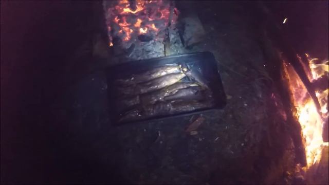 Тавда 2016 и Бурундук судоводитель
