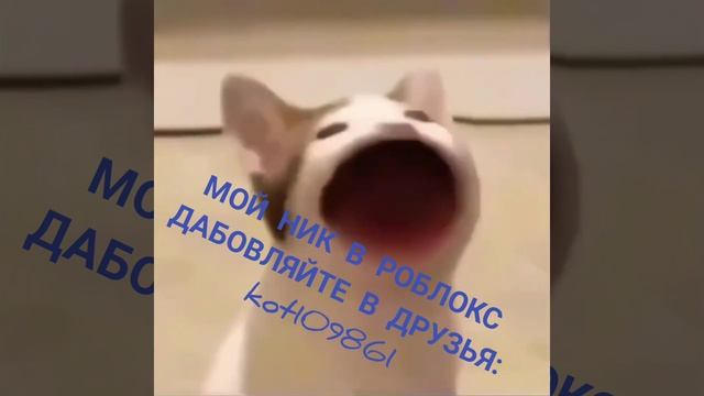 добавляйте меня в друзья жду! 🥰