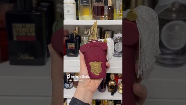 Любимые ароматы бренда Xerjoff #духи #рек #рекомендации #парфюм #ароматы #shorts #ароматы #randewoo