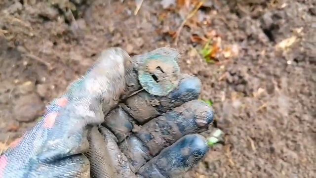 В поиске клада! Находки есть, их не может не быть!