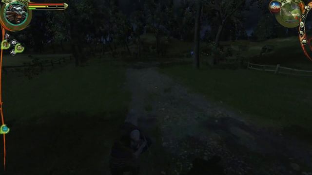 Witcher Бегаем рубим #6