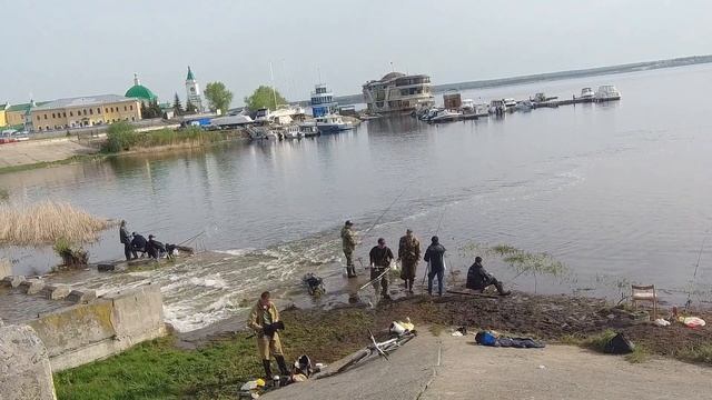 ЛОВЛЯ КАРАСЯ, САЗАНА НА ДОНКИ | Чебоксарский речной порт