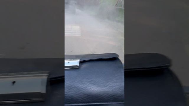 Где птицы не поют...