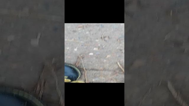 Иду со школы до дома