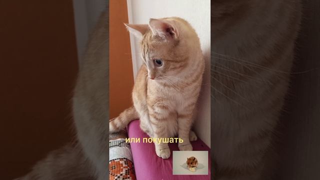 1000008224.mp4