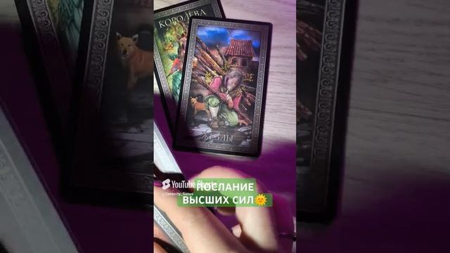 ПОСЛАНИЕ ВЫСШИХ СИЛ🌞 ТАРО РАСКЛАД