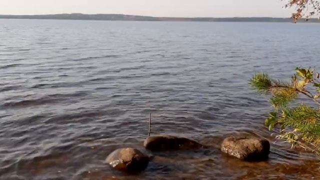 Йогурт, мацони, катык, сузьма, курт....