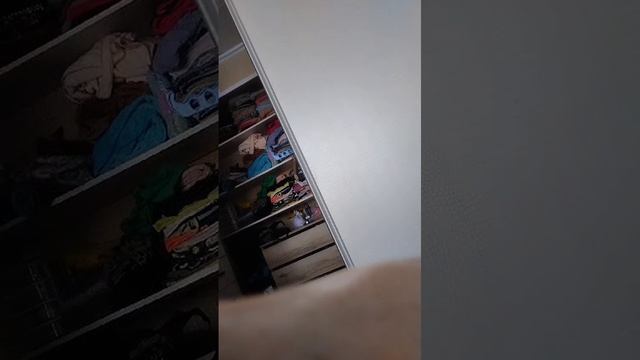 VID-20241121-WA0000.mp4