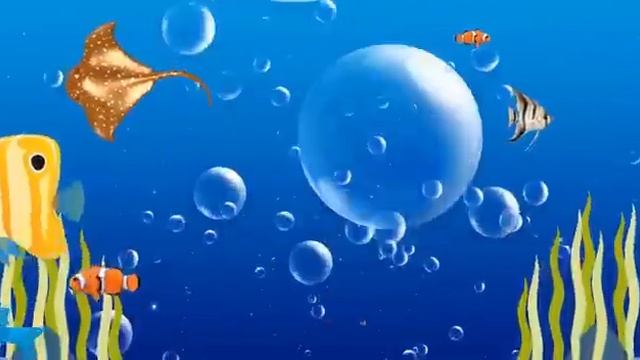 Загадки для детей
Про морских животных