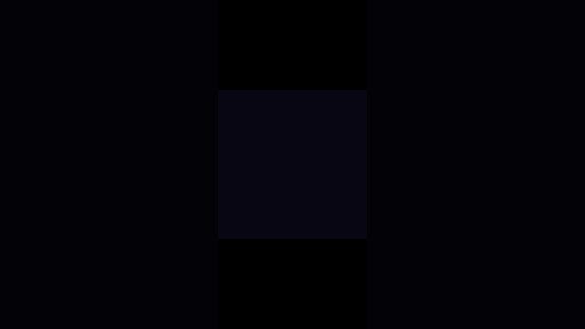 1000021132.mp4