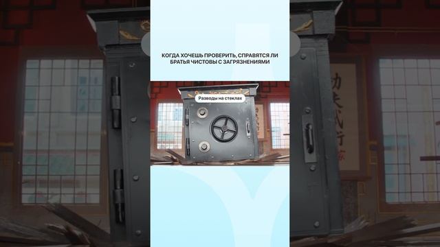 Когда хочешь проверить, справятся ли Братья Чистовы с загрязнениями