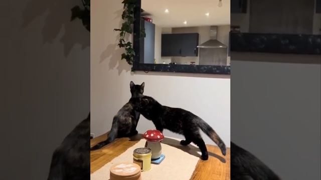Иногда нужно просто прислушаться к совету...