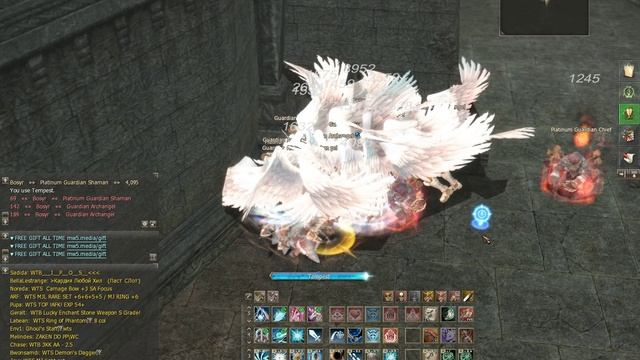 Lineage II 2024.11.21 - 14.39.08.03