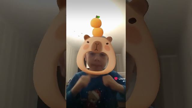 капибара