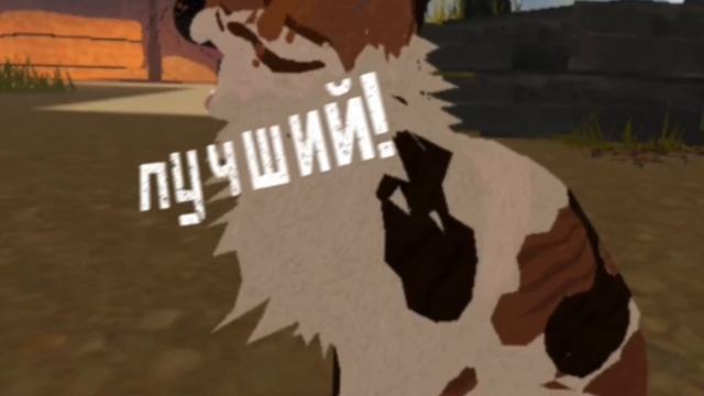 ну кто я если не идеал?коты-воители роблокс,warrior-cats,WCUE