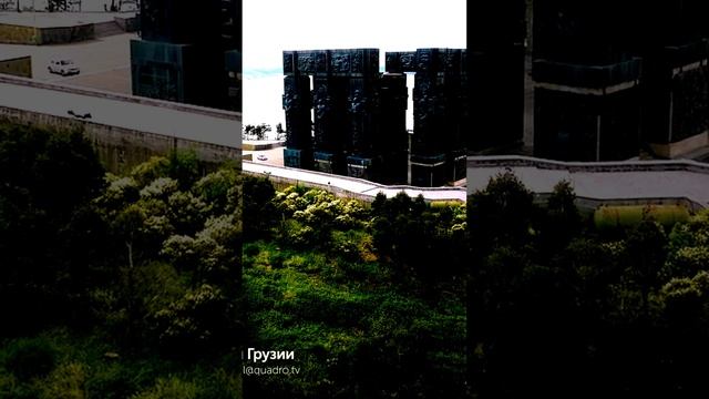 Взгляд на мир с высоты птичьего полета