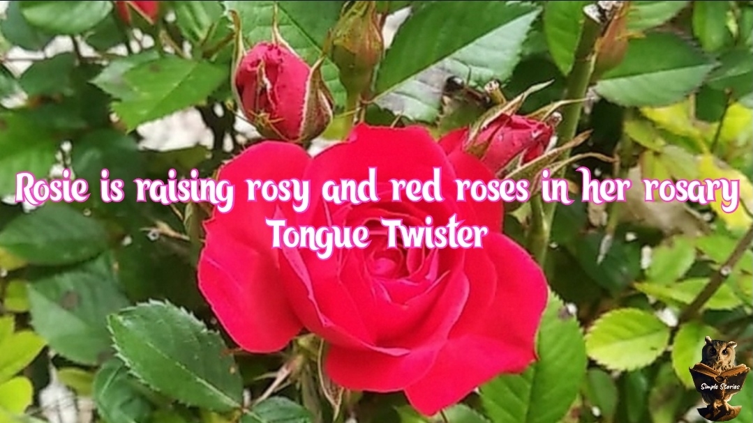 Rosie is raising rosy and red roses in her rosary. Tongue Twister