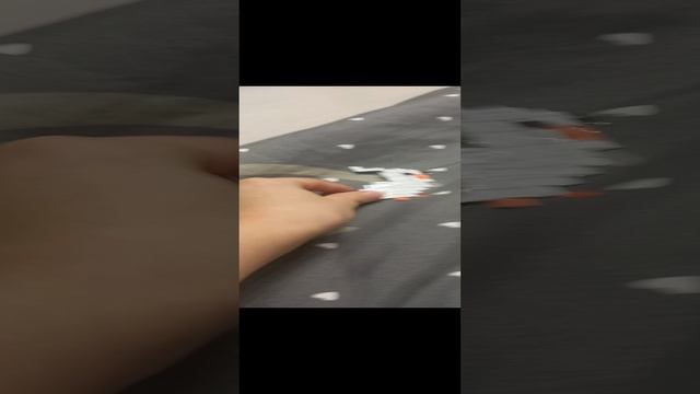поки попугаи