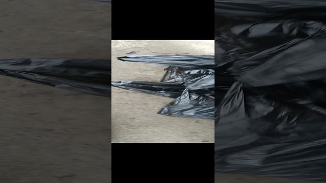 VID_20241121_121851.mp4