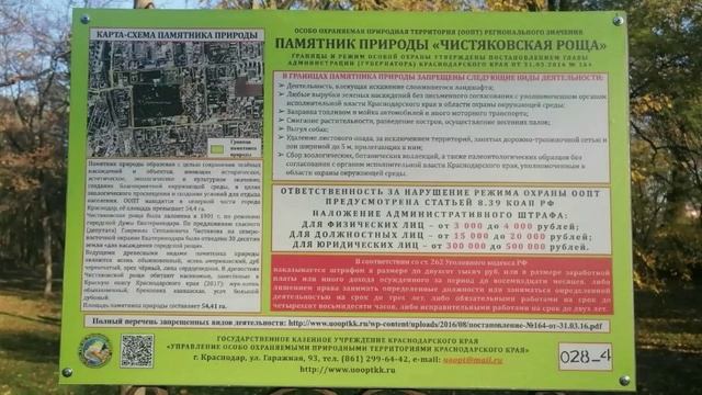 Краснодар. Новости собачкиной столицы!