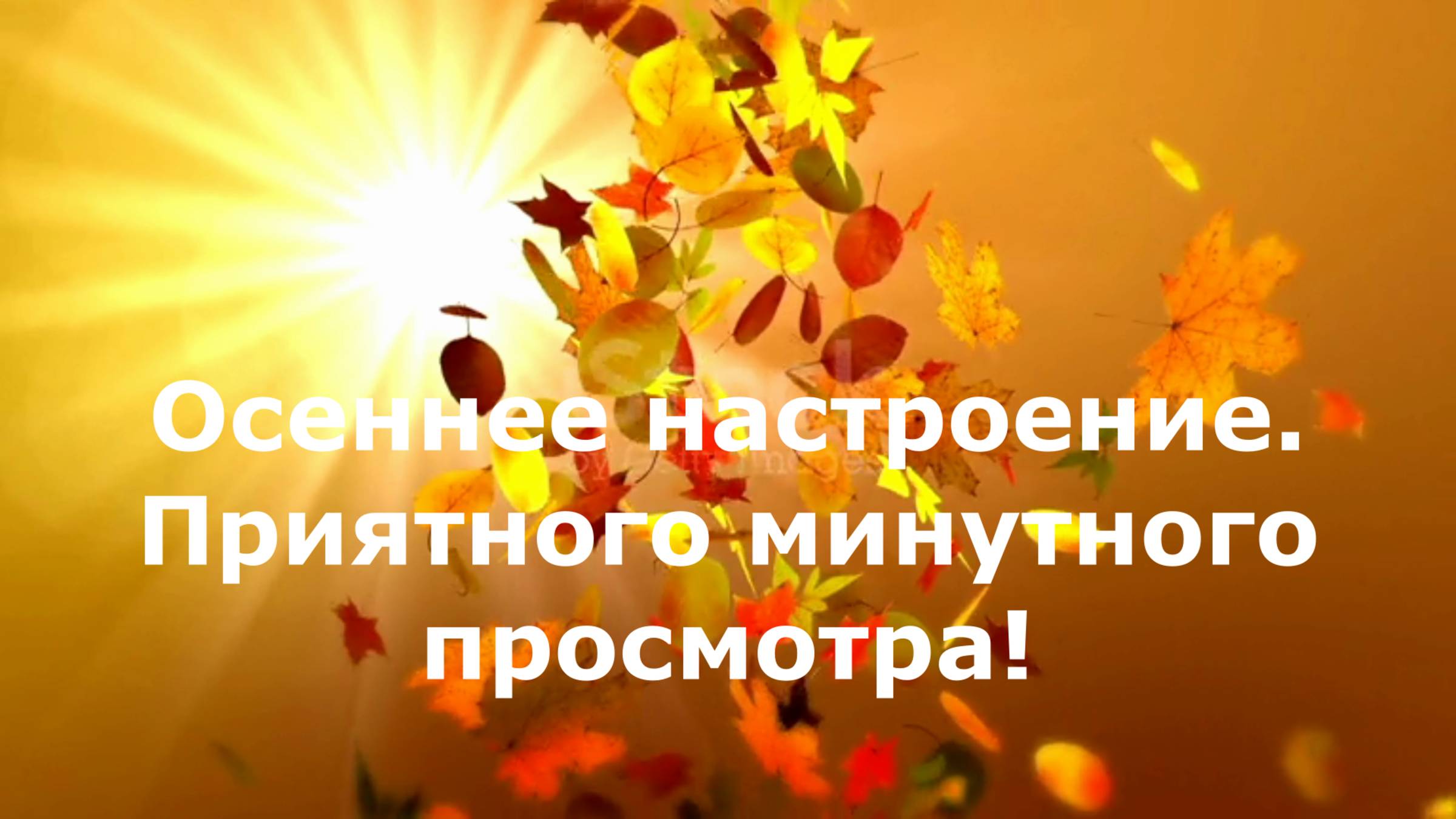 Осень 2024г. Музыкальная пауза.