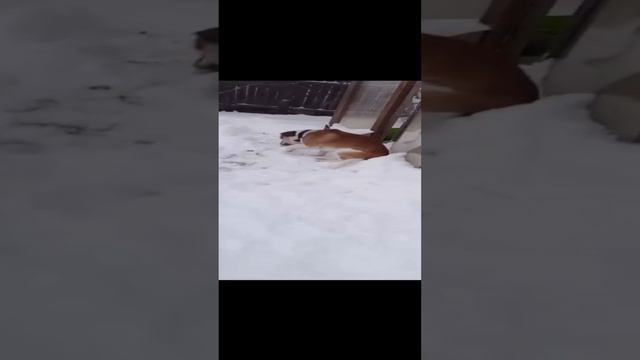 1000040454.mp4
