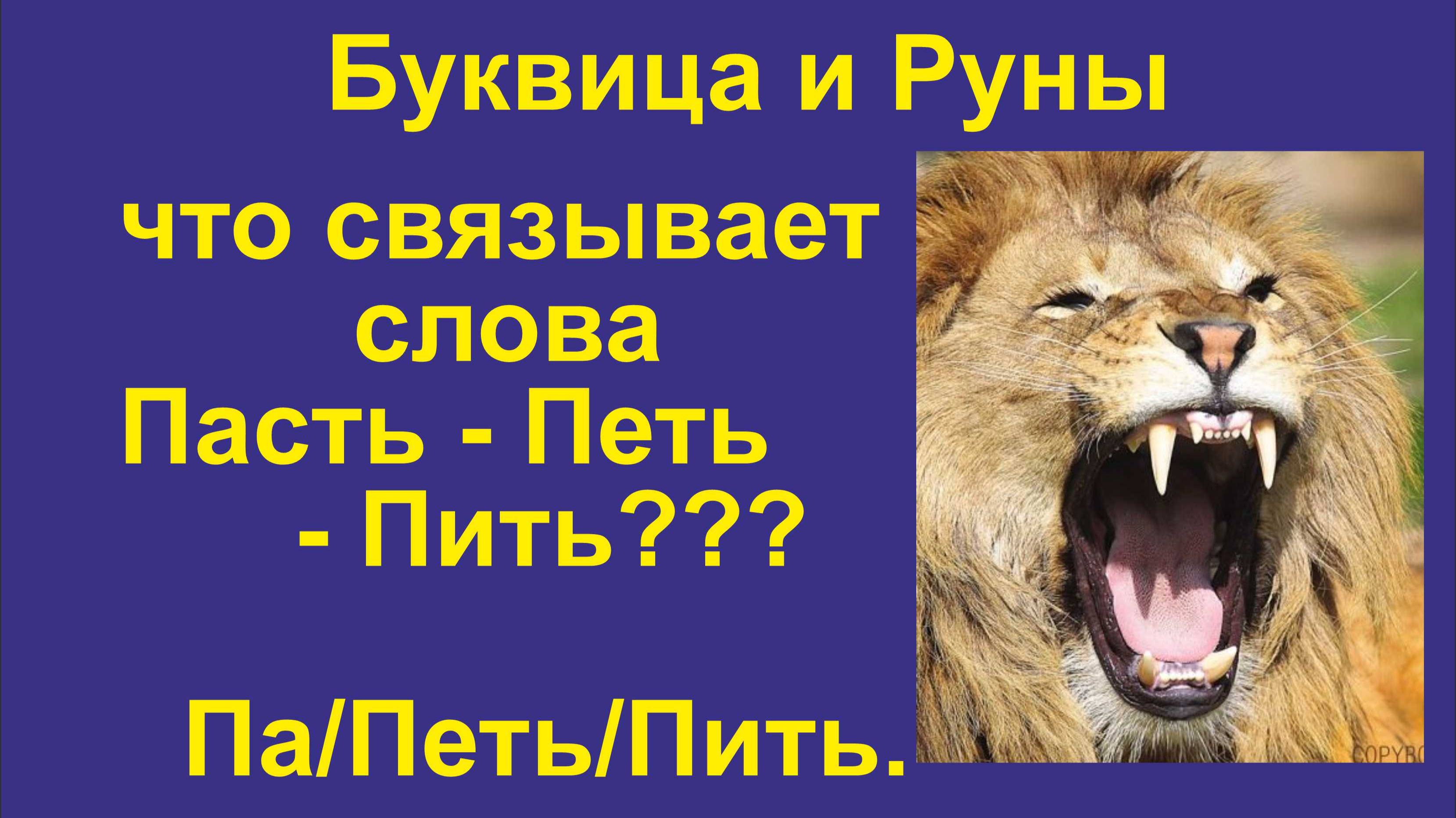 Буквица Покои (лекция 17 (Часть 2)) Что связывает между собой понятие Поэт, Петь, Пить?