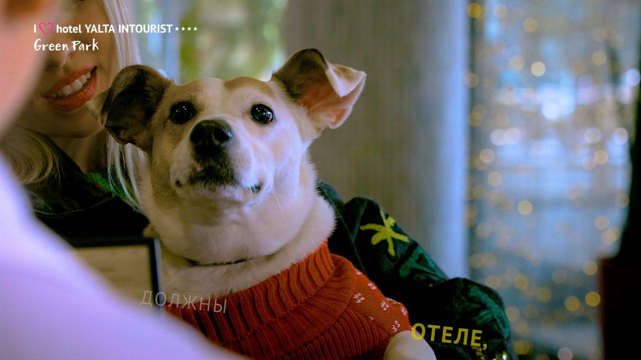 Yalta Intourist: идеальный отдых для вас и вашего питомца