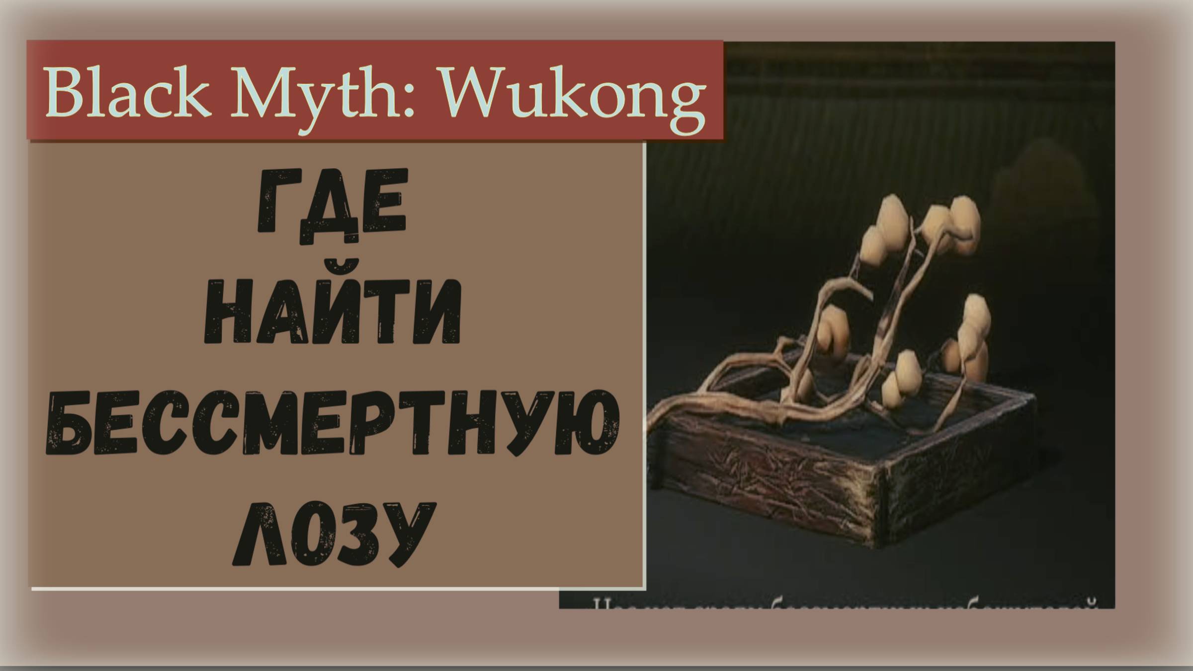 Black Myth Wukong. Где найти добавку напитка Бессмертная лоза