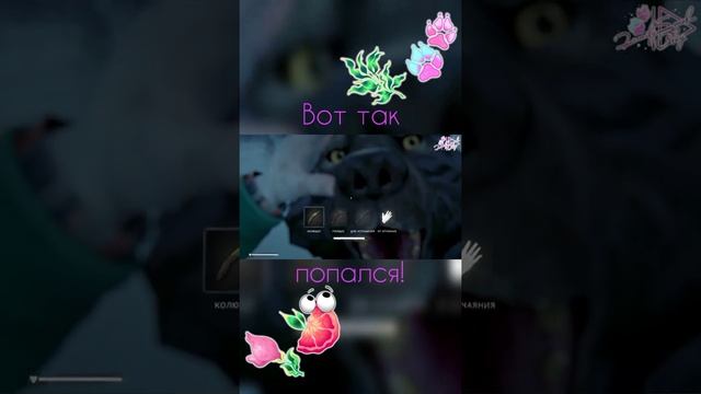 Момент #2 из The Long Dark. Эпизод 2. Серия #2 в #Shorts