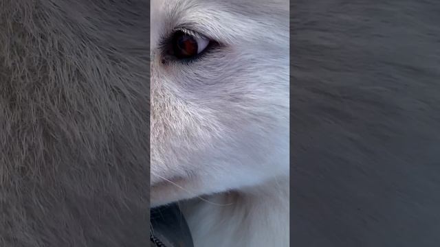 Режим «совесть» не активирован. Поругалась на пацанов и в наглую ворует еду