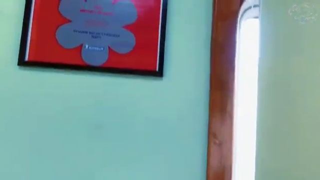 VID-20241119-WA0001.mp4