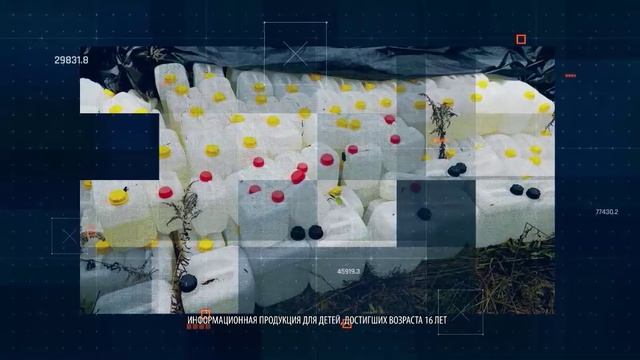 Чистое поколение 2024 (3)