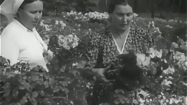 На окраинах Москвы | Производство ЦСДФ, 1953