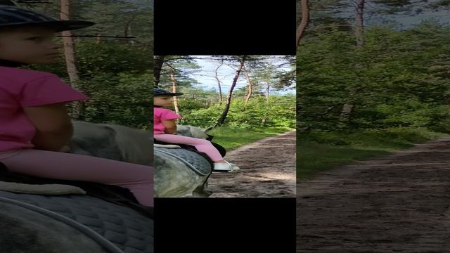 1000006554.mp4