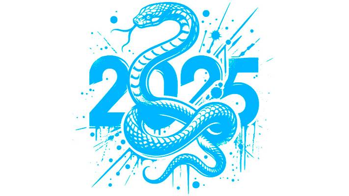 Новый год 2025 5