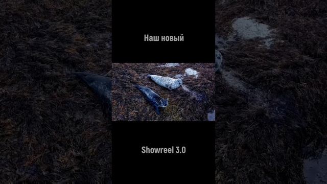 Шоурилл 3.0 #киров